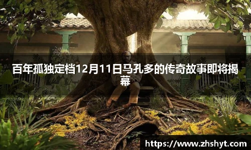 壹号国际电子娱